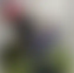 Havenstreet Steam Railway 1940’s experience