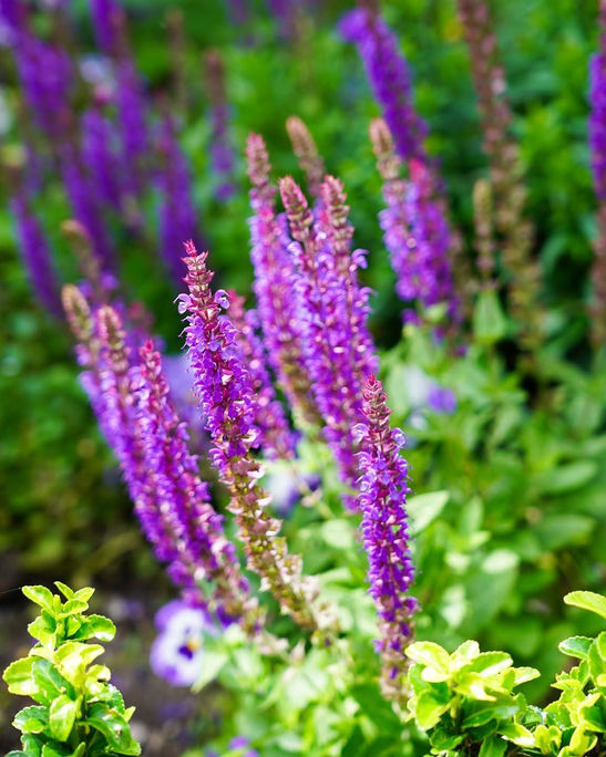 Hotel and restaurant Photography and Social Media