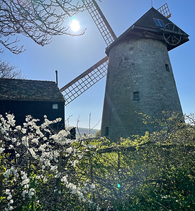Windmill
