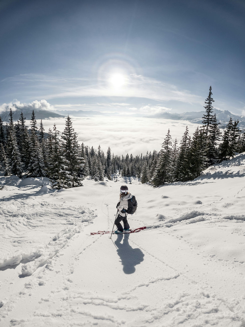 Skier in snow-covered forest, sun overhead, creating a halo effect. Bright, clear day with snow-laden trees and a serene atmosphere.