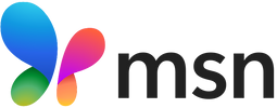 2024_new_msn_logo.svg.png
