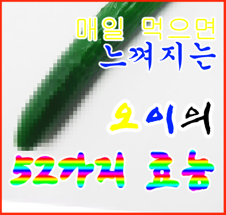 카4b)52한번 잡솨봐