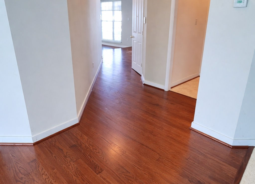 This is to explain and show my job