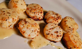 Scallops at Fountain Hill