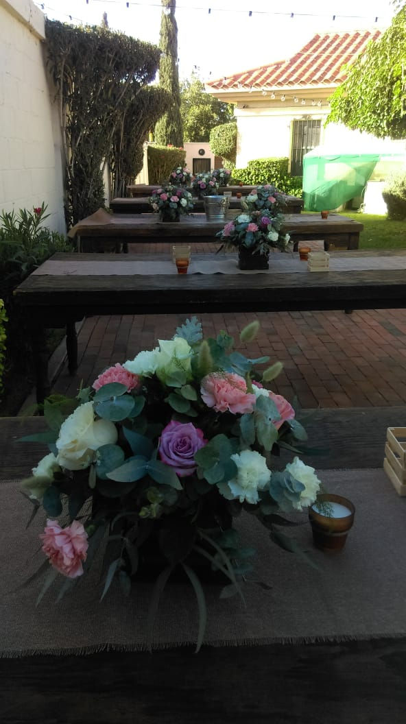 Miniatura: Boda Gris & Nef