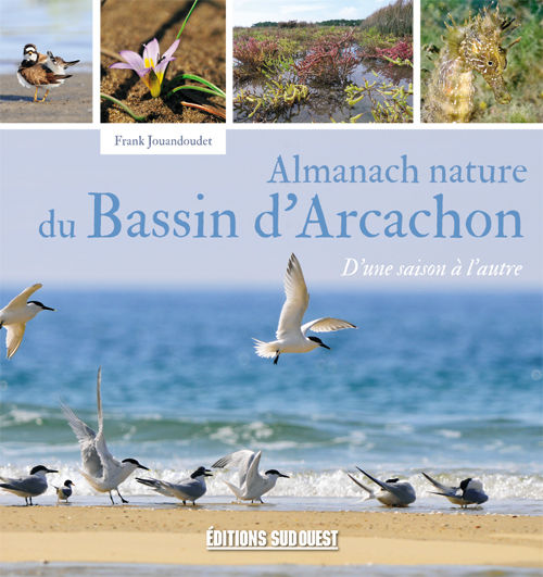 Almanach nature du Bassin d'Arcachon