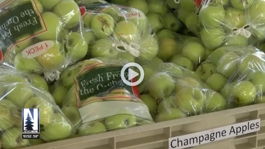 Screenshot 2026-03-25 113206.png