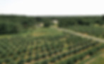 DJI_0067.jpg