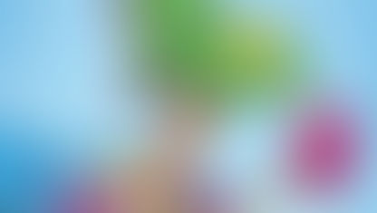 Asociaal gedrag in pretpark Drouwenerzand