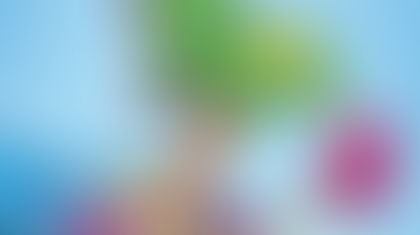 Asociaal gedrag in pretpark Drouwenerzand