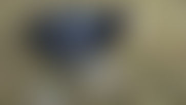 Meerkoet (Fulica atra)