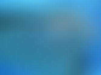 Pijlstaartrog (Dasyatidae)