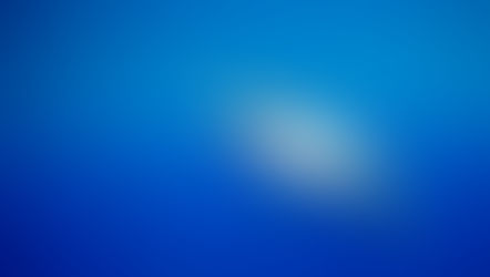 Witte haaien komen in alle zeeën en oceanen voor