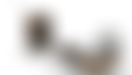 De Nederlandse tv-geschiedenis