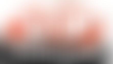 Terroristen dulden geen normen en waarden