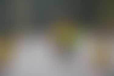 Bilder E-Jugend gegen WBW