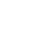 Subaru Logo for BTV Video Production Website