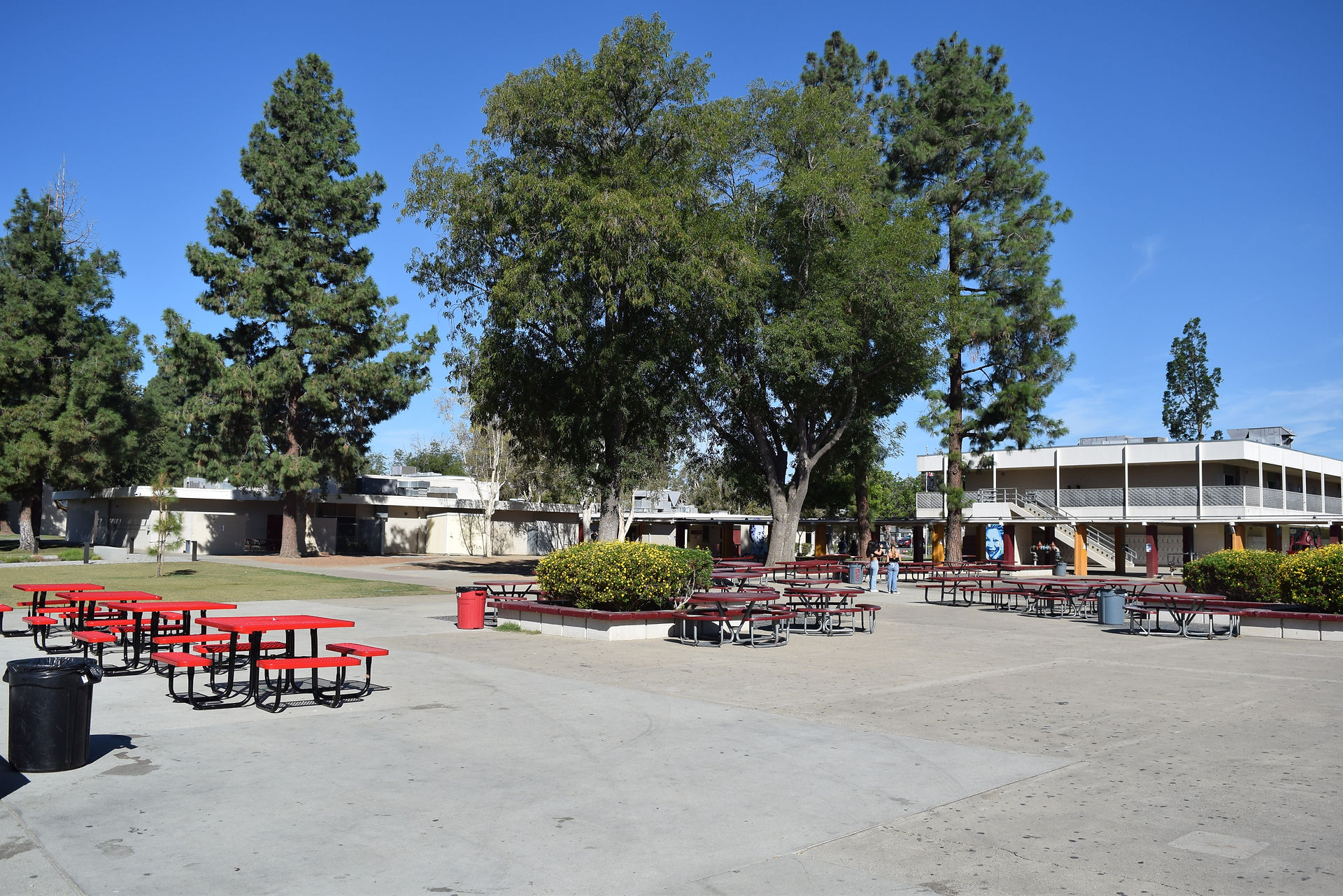 Quad
