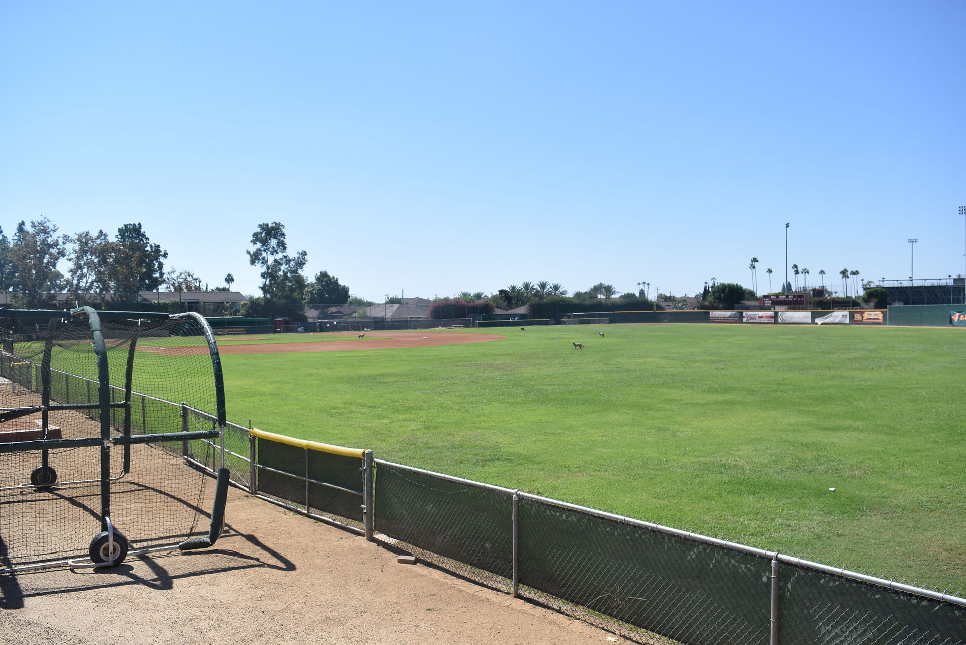 Baseball Field