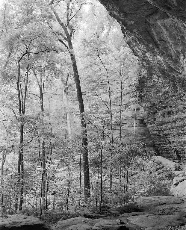 Fern Clyffe Cave BW (1 of 1)_edited.jpg