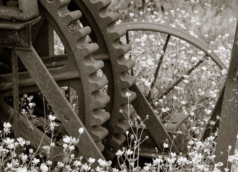 antique tractor CU 2020 (1 of 1).jpg