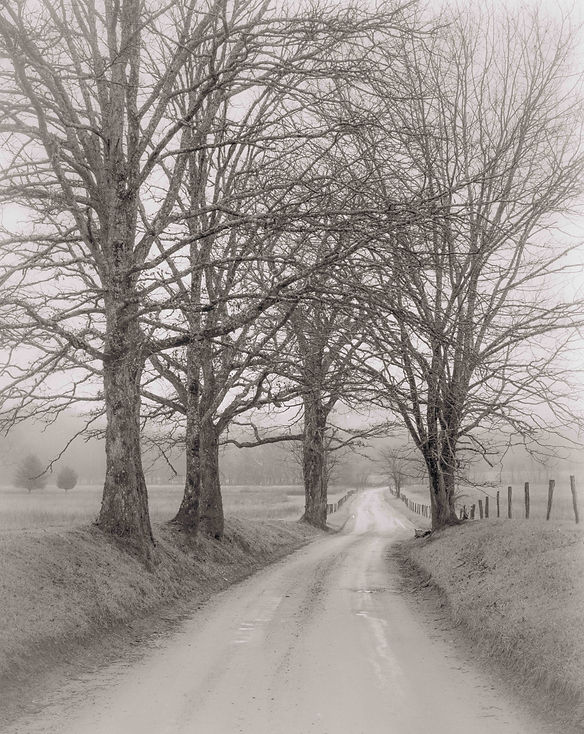 take me home vertical (1 of 1).jpg
