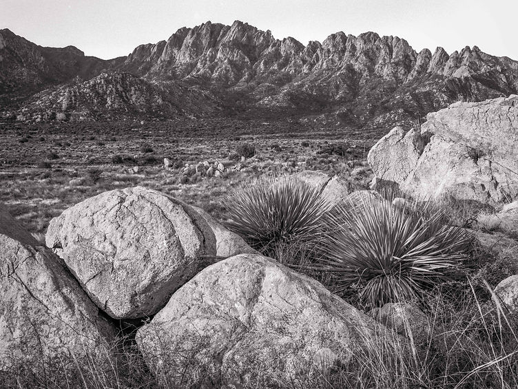 Organ Mountains.jpg