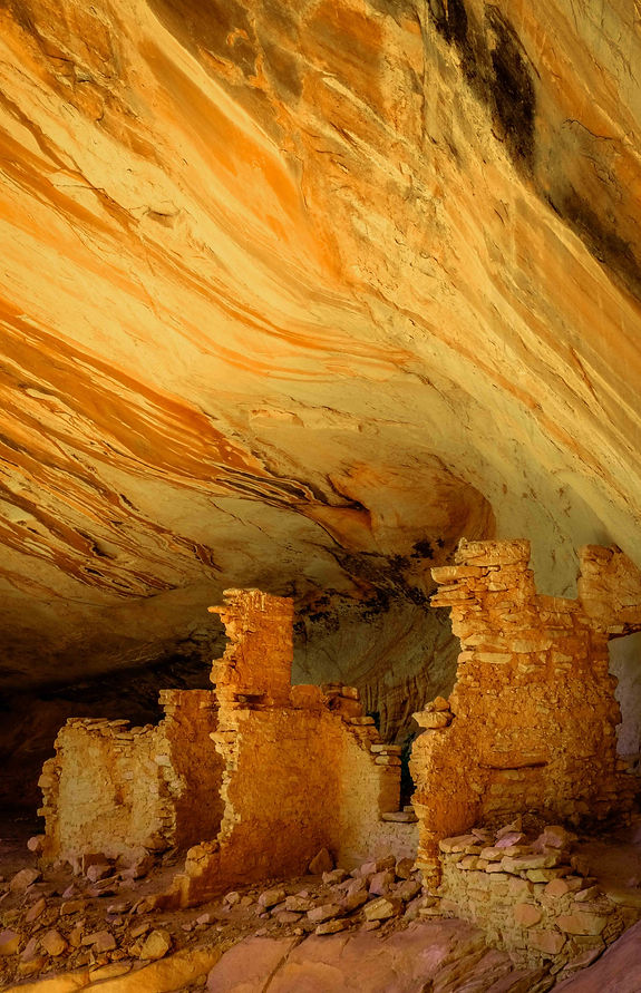 Monarch Vertical (1 of 1).jpg