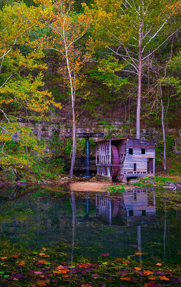 Falling Spring canvas update (1 of 1).jpg