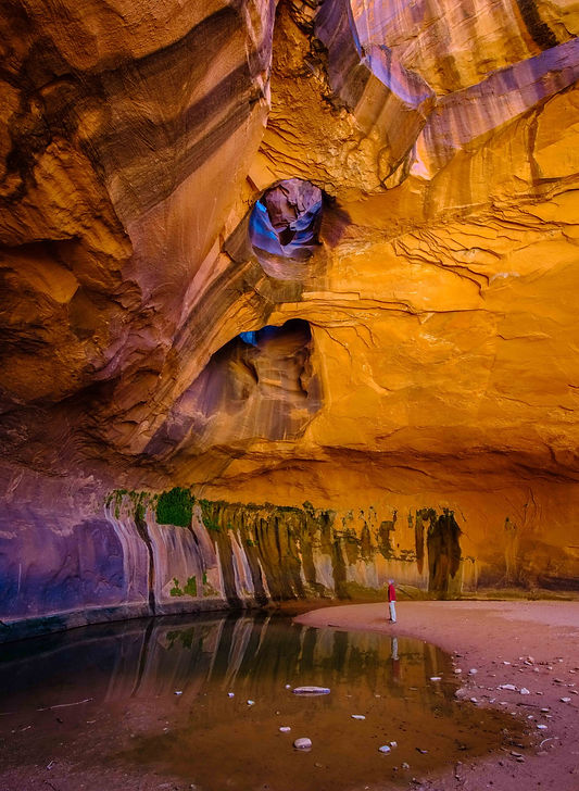 Golden Cathedral wide (1 of 1).jpg