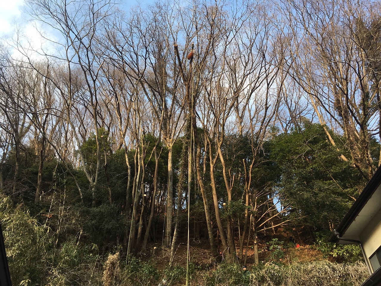 初日終了！頑張った〜！けっこう進んだ感じがします。