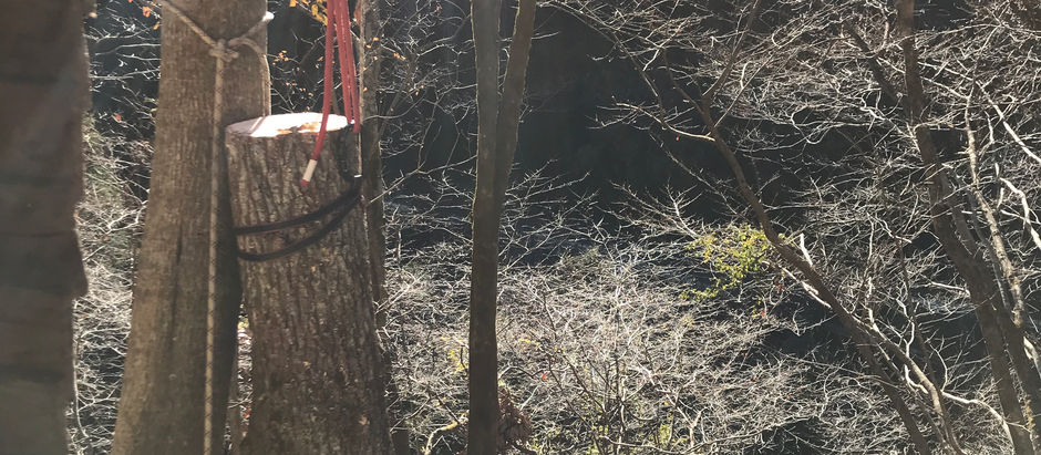 炭焼き準備days 2