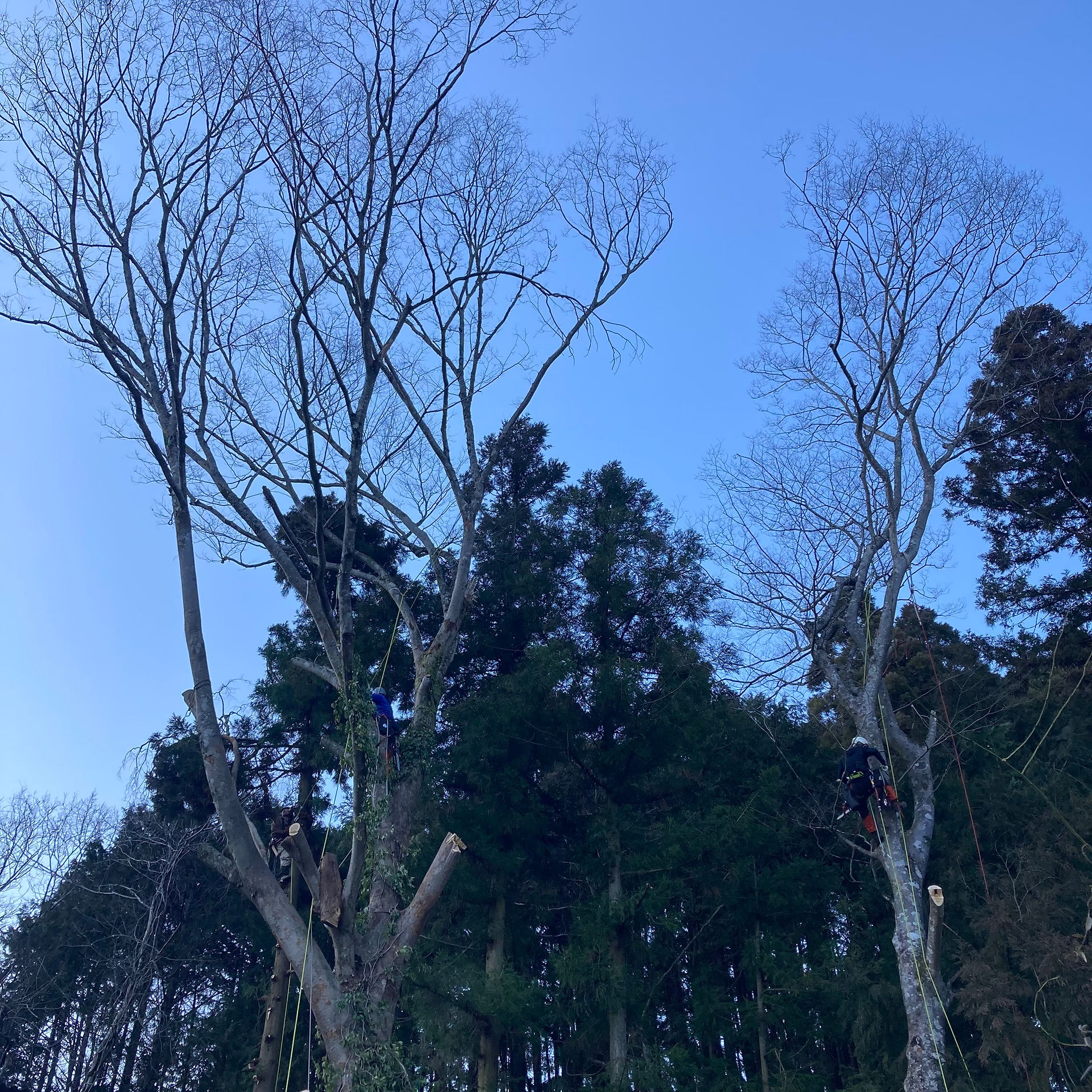 16:00ごろ。今日はここまでにしよう。結構進んだね。