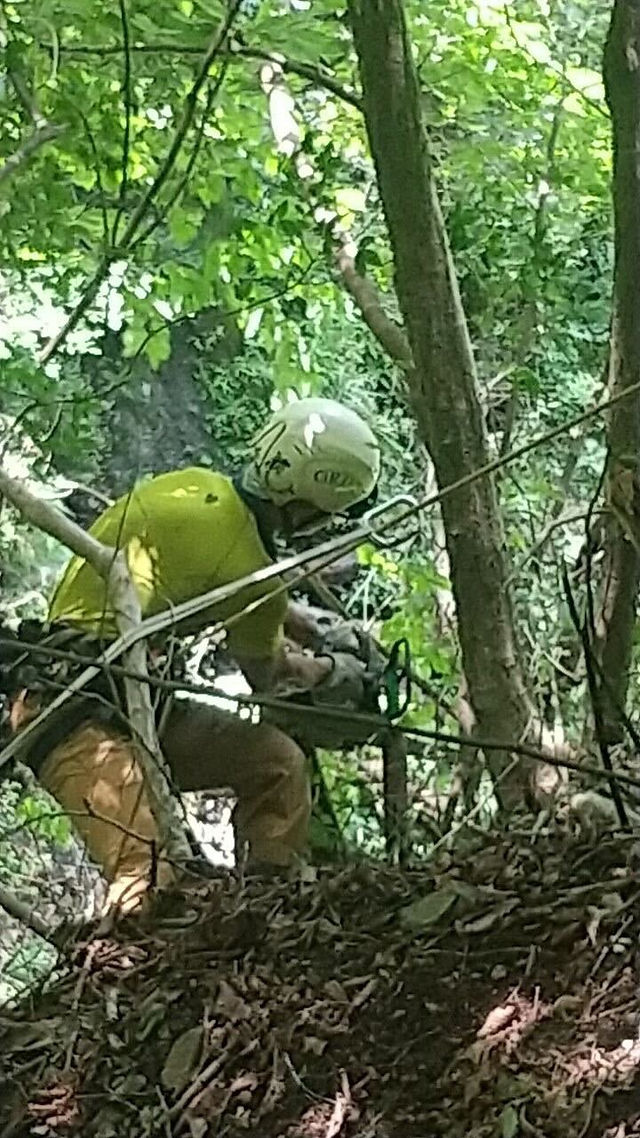 ガケっぷちの灌木たちを伐らせてもらいました。