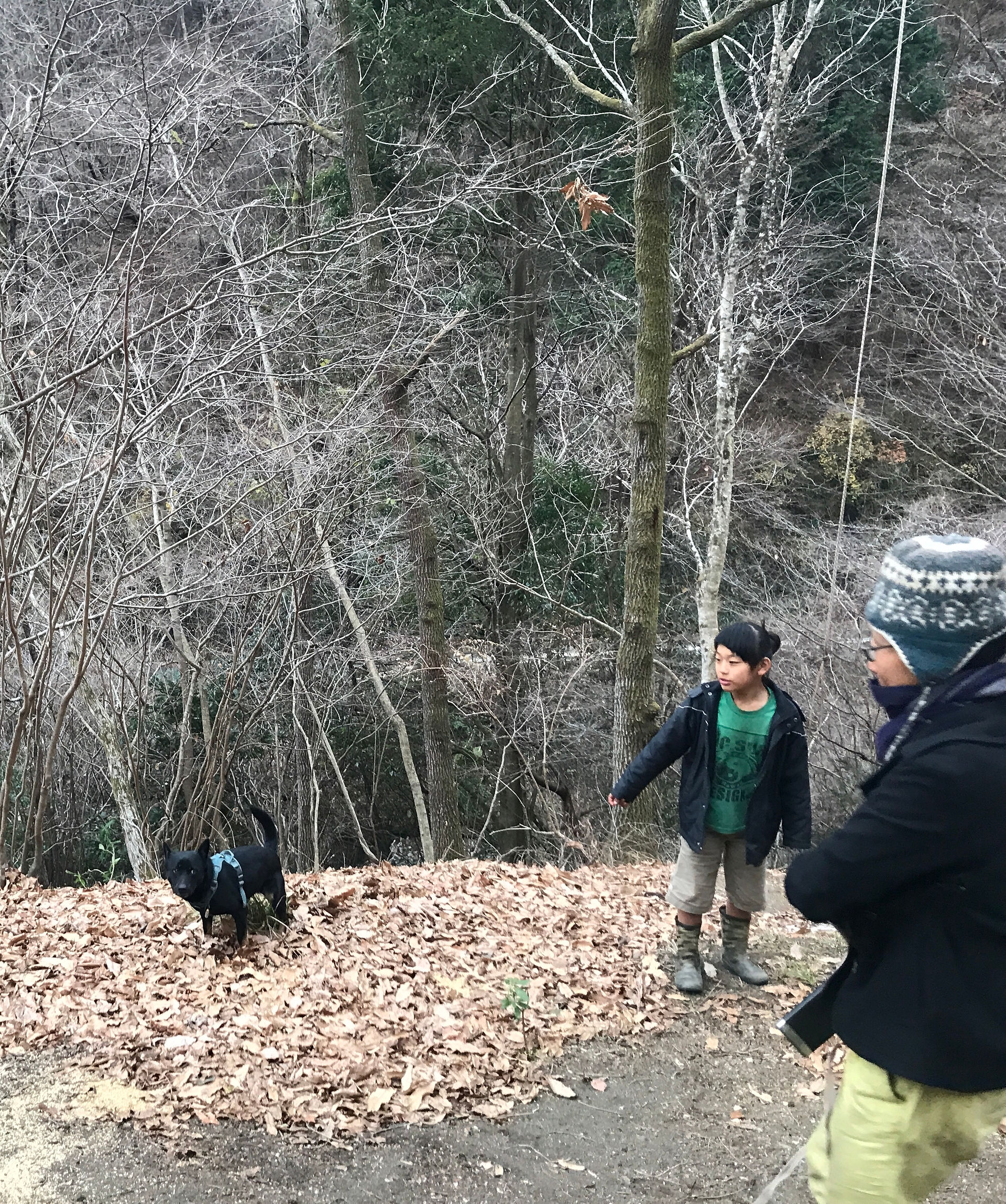 Ittoとスカイは元気いっぱい走り回って。いいな〜温まりそう