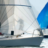 DSC_7386.jpg