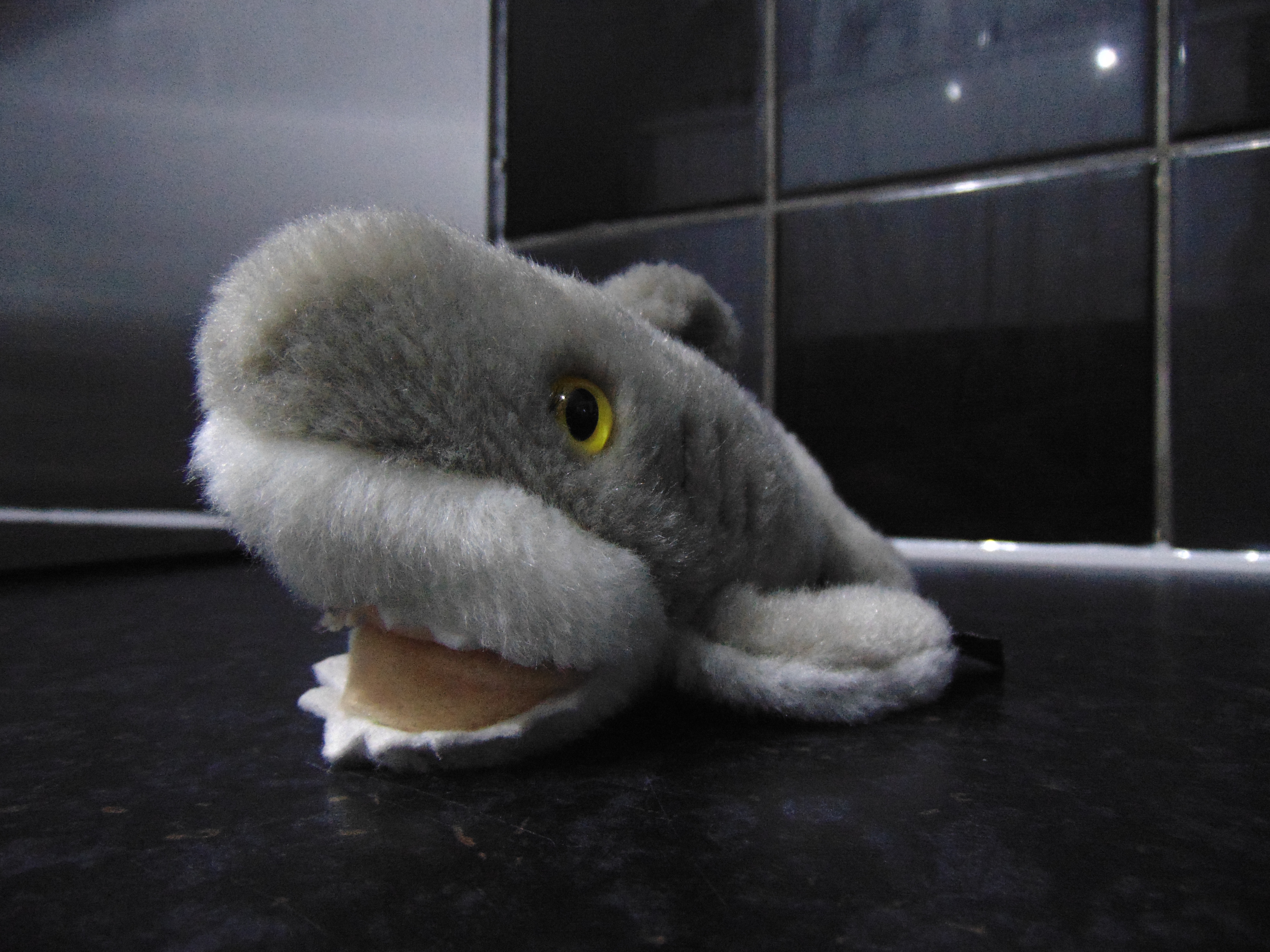 Baby Jaws