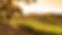 Untitled design (44).png