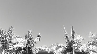 2018-01-28 11.41.23-BW.jpeg