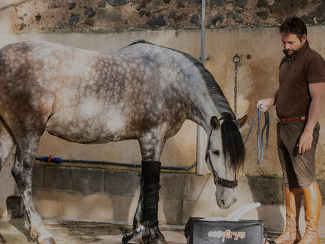 Buy the Best Equine Rehabilitation Equipment from America Cryo