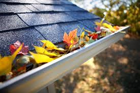 Garage Door and Gutter Maintenance