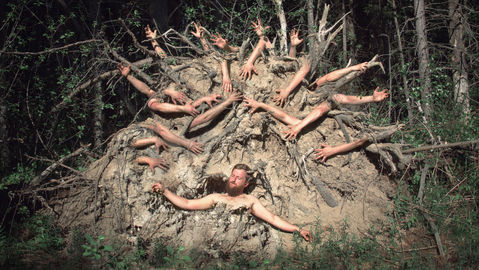 BG Photographie, Alex BG, AlexBG, 
Renaissance