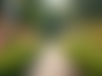 Elevate Your Property with Professional Landscape Upkeep Services