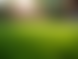 Expert Lawn Mowing Lockport NY: Your Guide to a Perfect Lawn