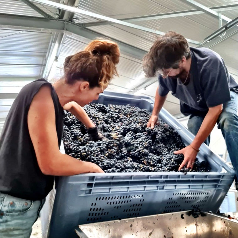 Miniature : LES ANNEXES 2024 - BIO - Bretagne - Domaine des Longues Vignes