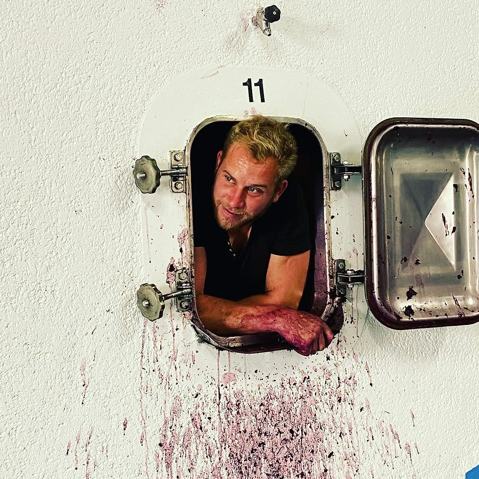 Miniature : CHÂTEAU CANTINOT - 2020 - Bordeaux - Château Cantinot