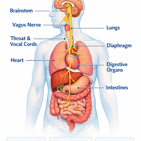Vagus Nerve Reset: Breathwork, Humming & Nervous System Regulation | Yogic Cowgirl