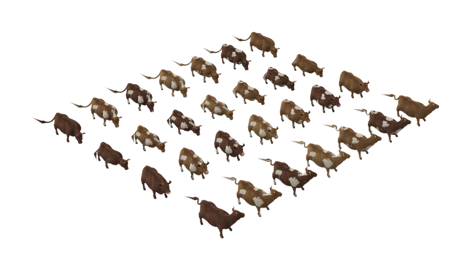 Cow_Lineup.png