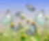Butterflies1_edited.jpg