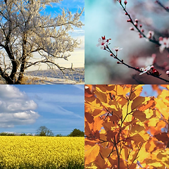 Herdman Seasonal Retreats x4.png